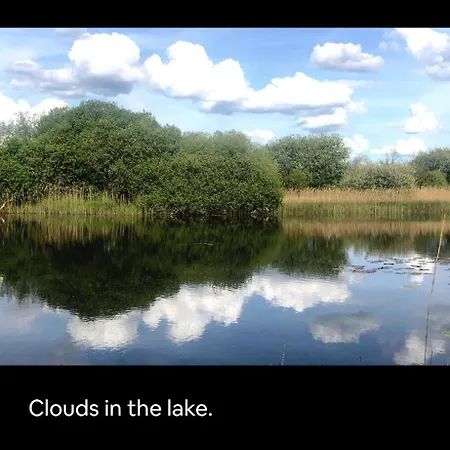 بيت للعطل Lough Lea House Strokestown